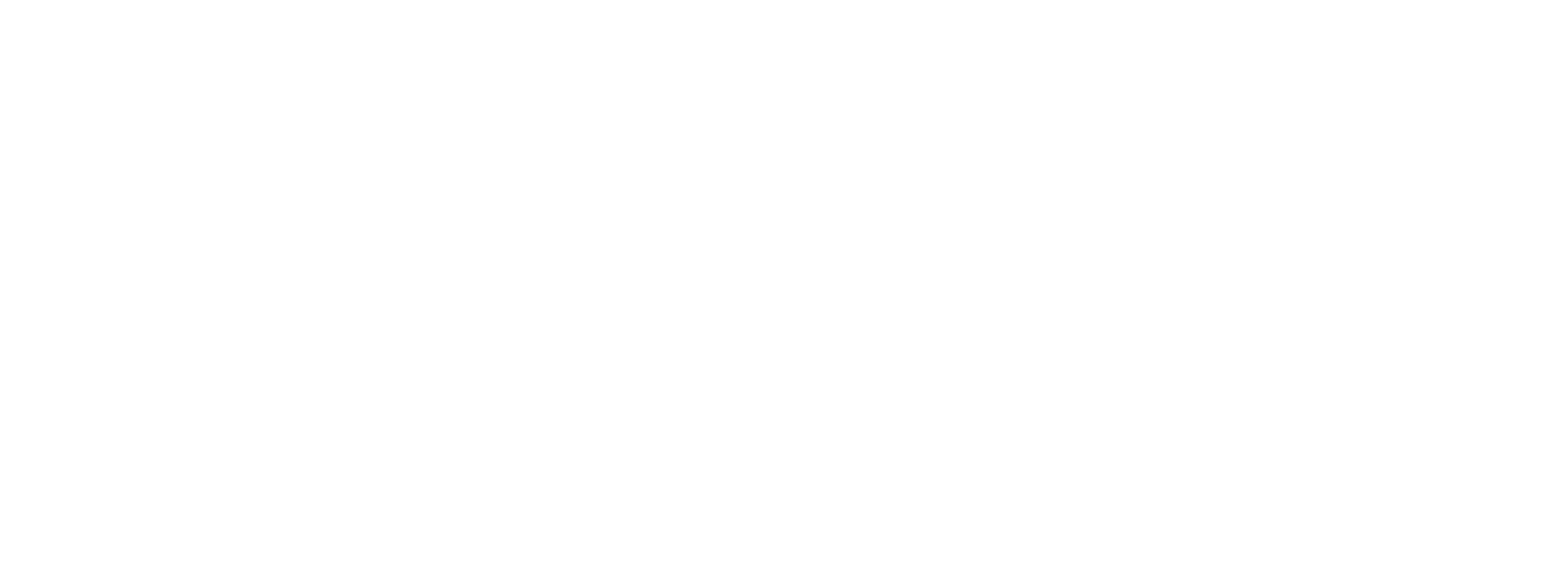 FlyBy Logo